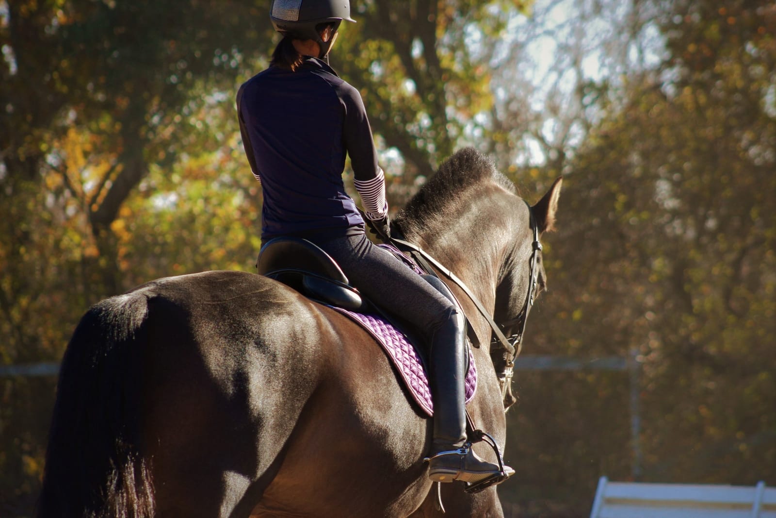 Yuka riding a dark horse in autumn light